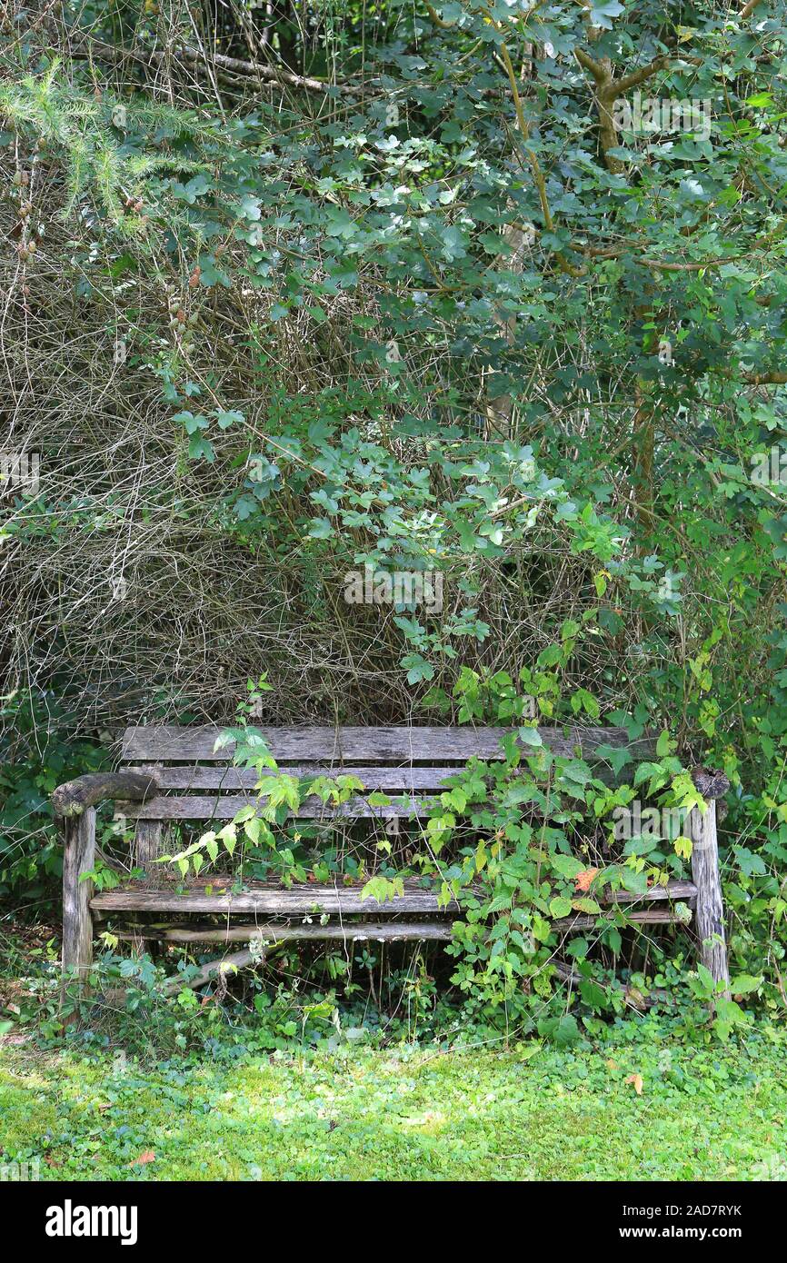 Incolto panchina da giardino nel parco Foto Stock