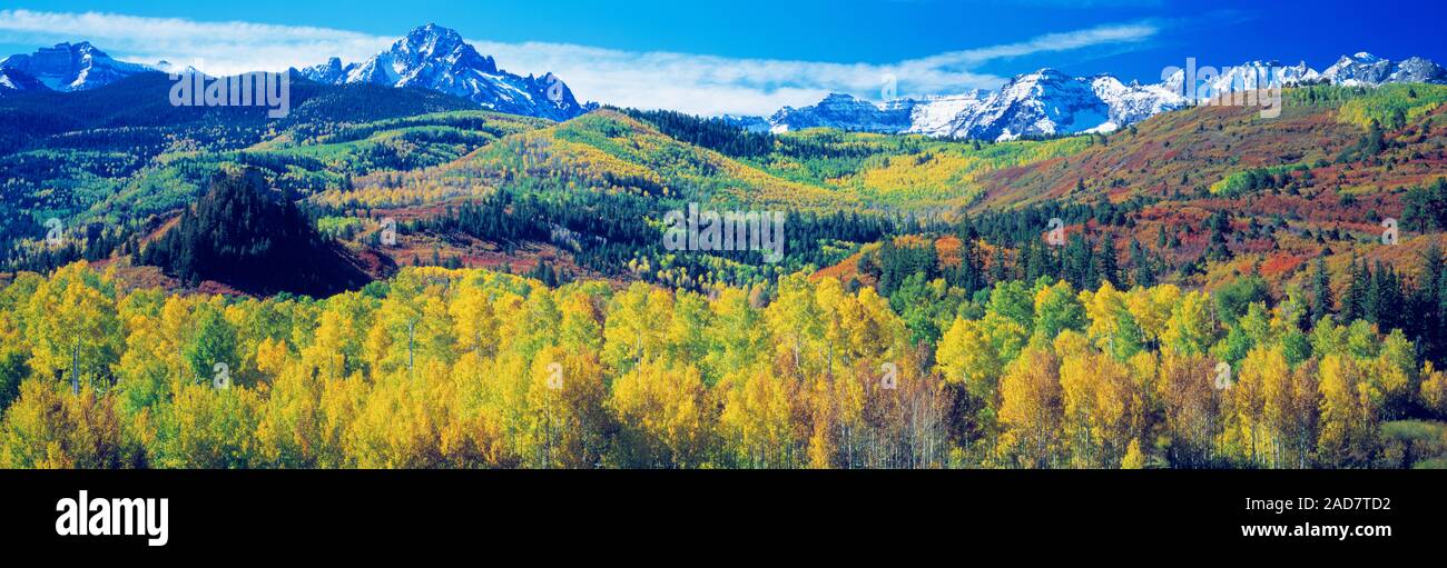Paesaggio panoramico con montagne e foreste in autunno, San Juan Mountains, Colorado, STATI UNITI D'AMERICA Foto Stock