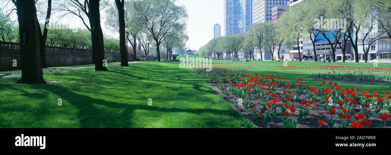 Vista di fiori e alberi in giardini pubblici, Grant Park, Chicago, Illinois, Stati Uniti d'America Foto Stock