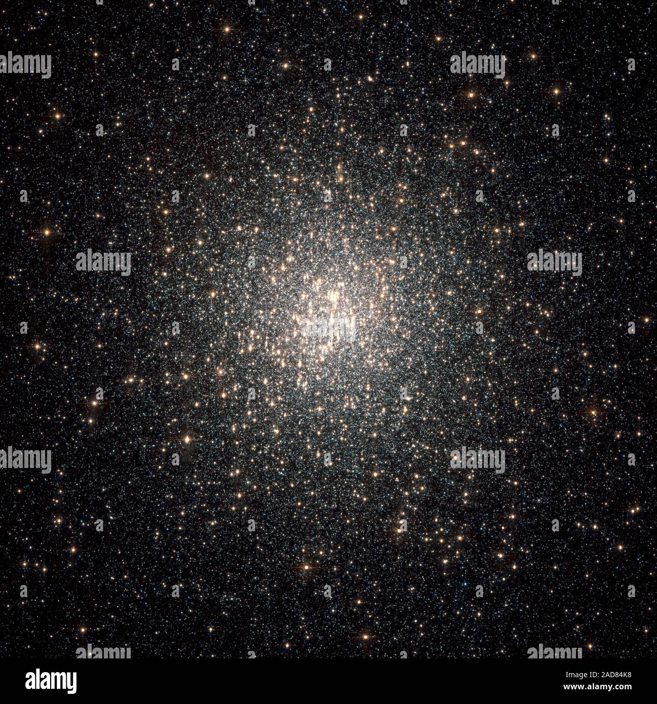 Questo telescopio Hubble immagine di un denso sciame di stelle mostra la regione centrale del globulare NGC 2808. Gli astronomi sono rimasti sorpresi quando Hubble spiato tre generazioni di stelle del cluster. La scoperta è molto diverso dall'immagine standard di un cluster globulari. Per decenni, gli astronomi hanno pensato che il cluster stelle formata allo stesso tempo nello stesso luogo e con lo stesso materiale e hanno co-si sono evoluti per miliardi di anni. Ammassi globulari sono il homesteaders della nostra Via Lattea, nato durante la nostra galassia formazione. Sono compatti sciami di tipicamente centinaia di cerdocyon Foto Stock