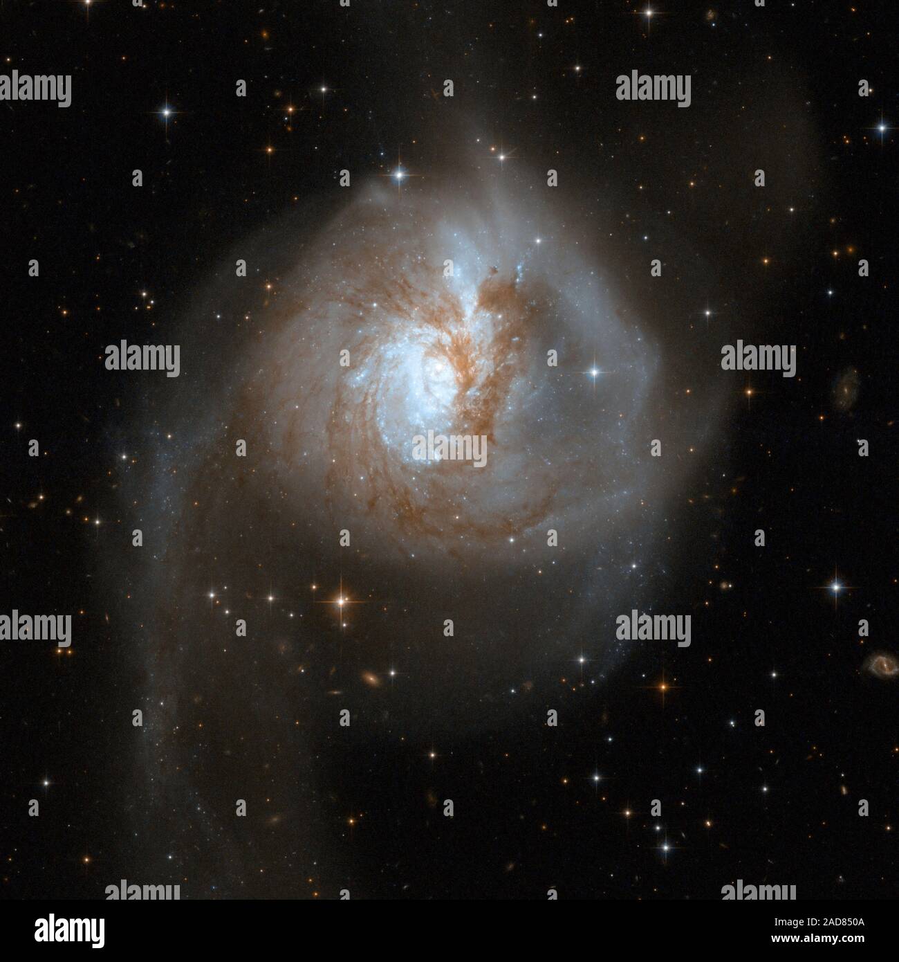 NGC 3256 è un esempio impressionante di una galassia peculiare che è in realtà il relitto di una collisione di due galassie separato che ha avuto luogo in un lontano passato. La spia segni di collisione sono due luminose estese vorticoso delle code fuori da Galaxy. NGC 3256 appartiene alla Hydra-Centaurus supercluster complesso e fornisce un modello nelle vicinanze per studiare le proprietà di giovani star clusters in code di marea. Il sistema nasconde un doppio nucleo e un intrico di vicoli di polvere nella regione centrale. Le code sono costellate di una particolarmente alta densità di star clusters. Questa immagine è parte di un la Foto Stock