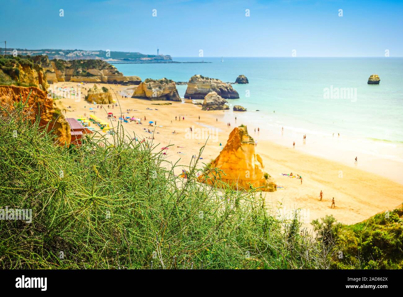 Vista da sopra alla spiaggia in Portogallo. Profondità di campo. Focus sulla macchia verde Foto Stock