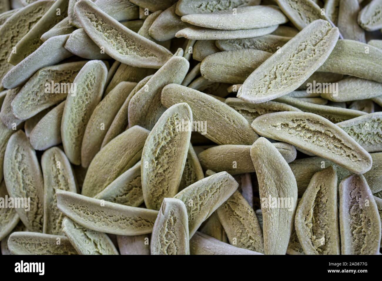 Pasta di spinaci Foto Stock