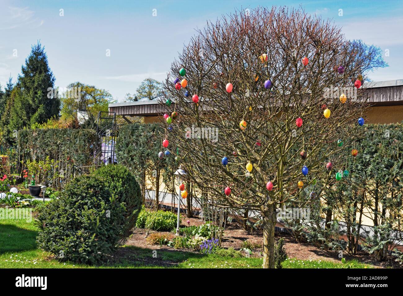 Albero di pasqua Foto Stock