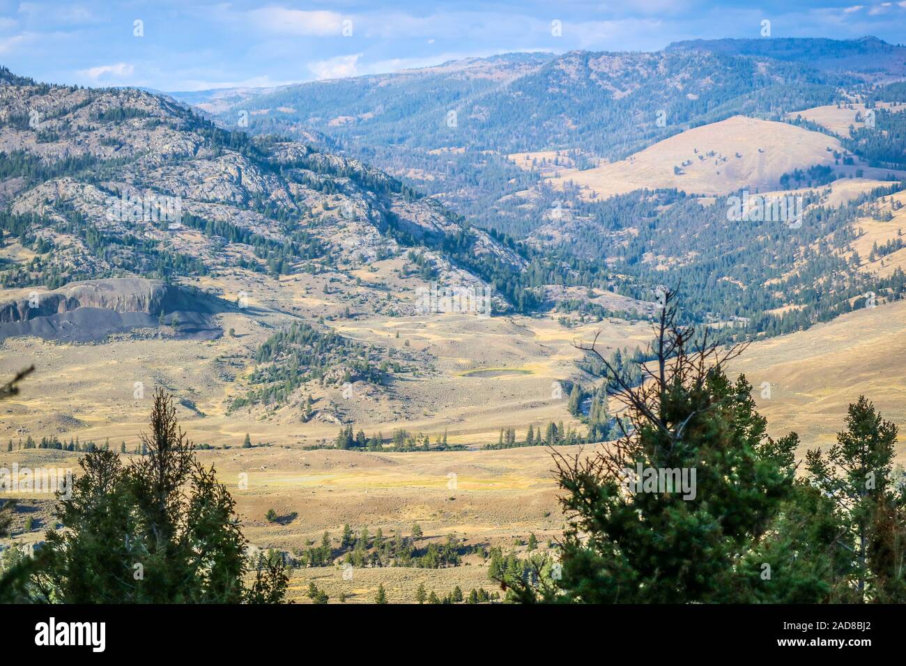 Una bellissima vista sulla natura nel Parco Nazionale di Yellowstone, Wyoming Foto Stock