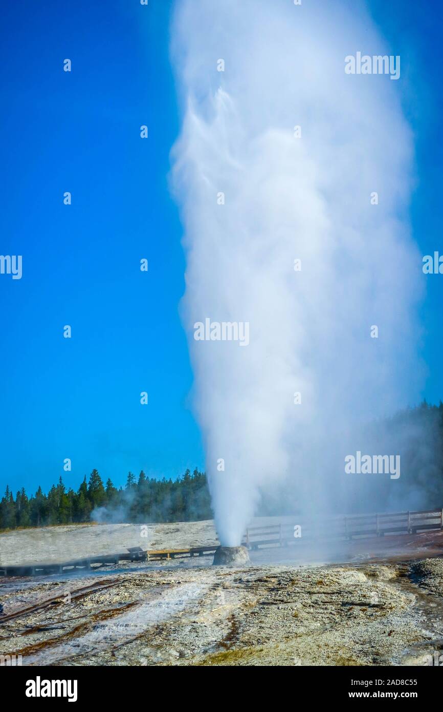 Il Mammoth Hot Springs Area nel Parco Nazionale di Yellowstone, Wyoming Foto Stock