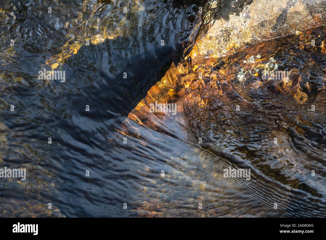 Creek dettagli, Muddus National Park, patrimonio mondiale Laponia, Lapponia, Svezia Foto Stock