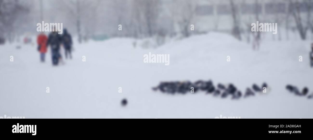 Stagliano da un uomo a piedi lungo una strada innevata. La nevicata in città. Immagine sfocata di un uomo. Web banner promozionale sfondo per la pubblicità Foto Stock Stagliano da un uomo a piedi lungo una strada innevata. La nevicata in città. Immagine sfocata di un uomo. Web banner promozionale sfondo per la pubblicità Foto Stock