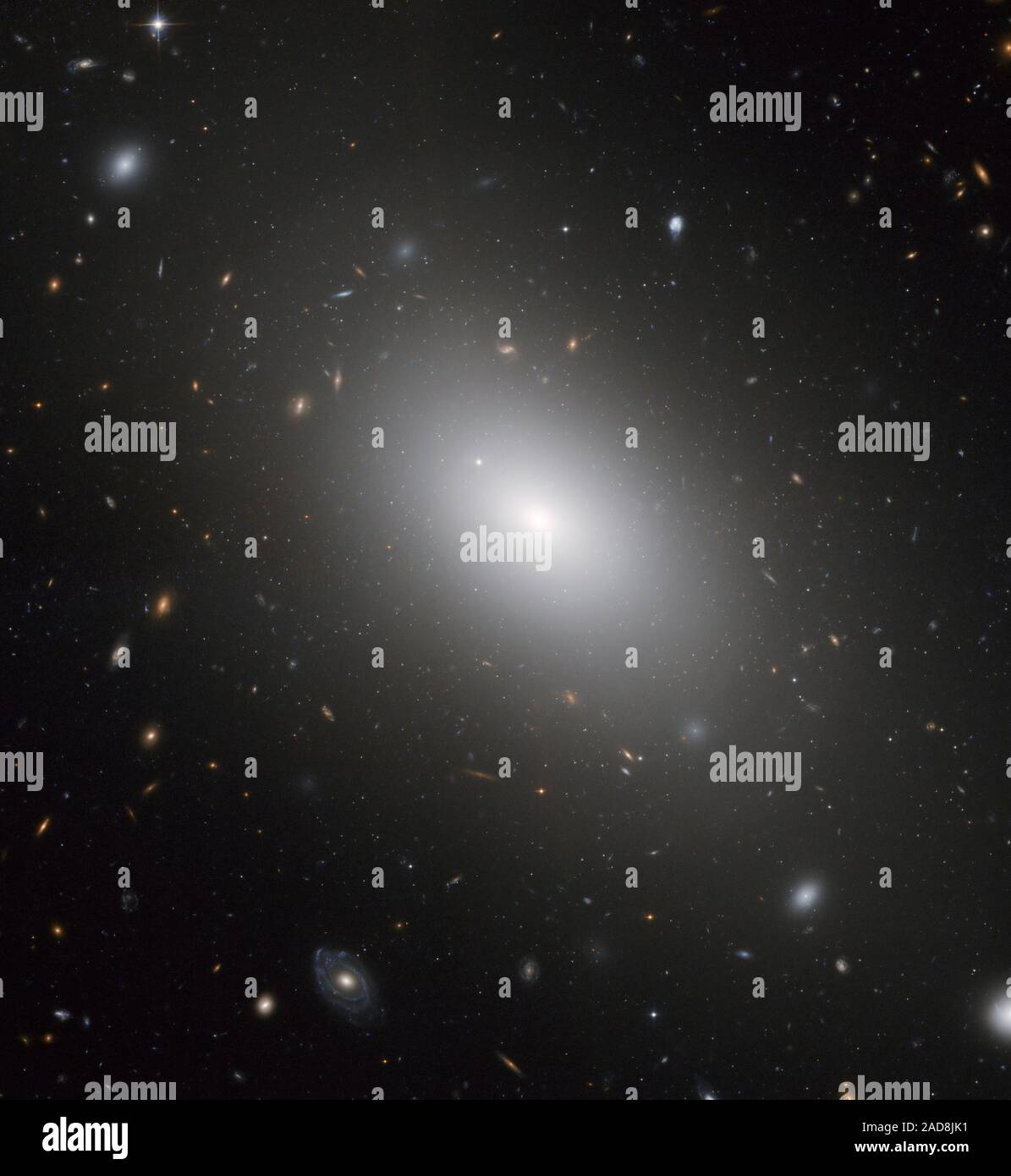 La galassia ellittica NGC 1132 rivela il risultato finale di ciò che potrebbe essere stato un gruppo di galassie che fuse insieme nel recente passato. Un'altra possibilità è che la galassia formata in isolamento come un "lupo solitario" in un universo risplendente con gruppi di Galaxy e cluster. NGC 1132 è ribattezzato 'fossile gruppo" perché contiene enormi concentrazioni di materia oscura, paragonabile alla materia oscura trovata in un intero gruppo di galassie. NGC 1132 ha anche un forte X-ray glow da una abbondante quantità di gas caldo che è normalmente trovata solo in gruppi di Galaxy. In luce visibile, tuttavia, appare come un Foto Stock
