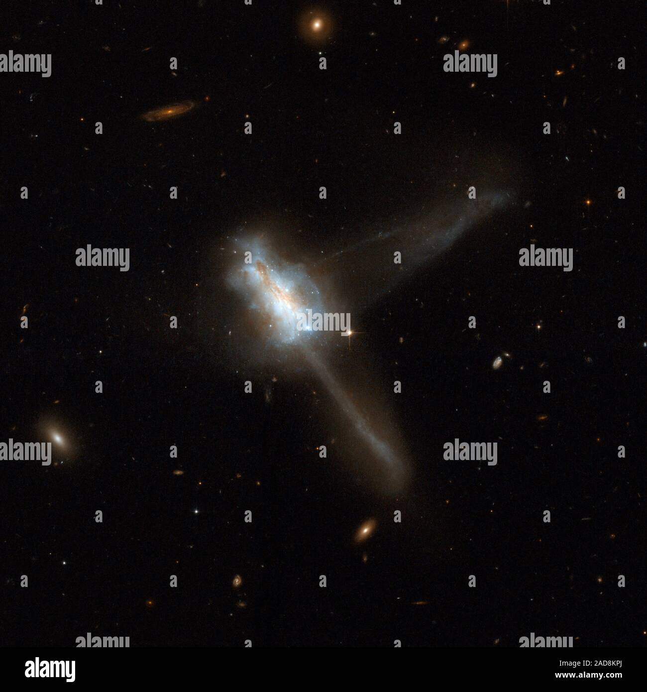 IC 883 visualizza un molto disturbato, complessa Regione centrale con due code di marea di circa la stessa lunghezza emergenti a quasi angolo retto: uno in diagonale in alto a destra del telaio e l'altra verso il basso a destra. Il twin tidal tails suggeriscono che IC 883 è il residuo della fusione di due gas ricchi di galassie a disco. La collisione sembra aver innescato un burst di formazione stellare, indicata da un numero di Bright star clusters nella regione centrale. IC 883 è 300 milioni di anni luce di distanza verso la costellazione di Canes Venatici, i cani da caccia. È numero 193 in Arp del Atlante di Pec Foto Stock