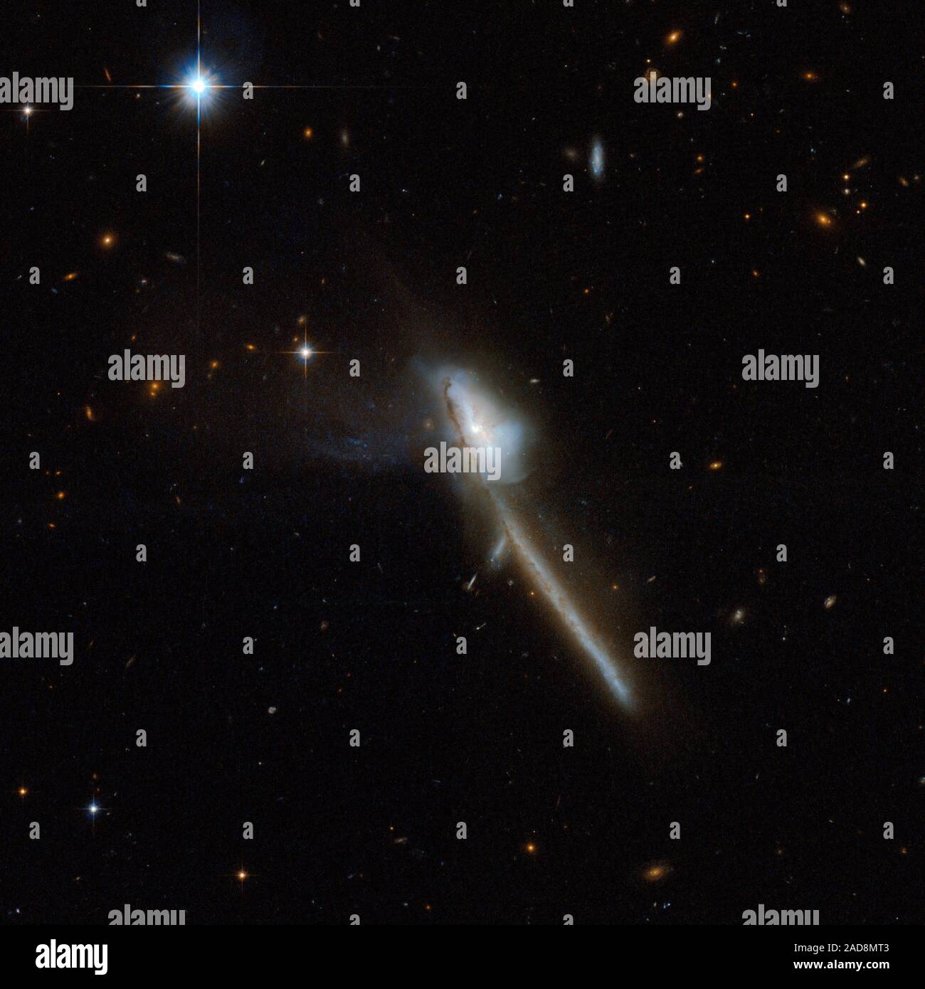 Markarian 273 è una galassia con una bizzarra struttura che in qualche modo assomiglia ad uno spazzolino da denti. L'immagine di Hubble mostra un intricato regione centrale e un impressionante e la coda che si estende diagonalmente verso il basso a destra dell'immagine. La coda è di circa 130 mila anni-luce lunga ed è fortemente indicativa di una fusione tra due galassie. Markarian 273 ha una regione di intensa della raggiera, dove 60 masse solari di nuove stelle nascono ogni anno. Nel vicino infrarosso osservazioni rivelano un nucleo con due componenti. Markarian 273 è una delle più luminose galassie quando osservate nell'infrarosso, e si trova a 5 Foto Stock