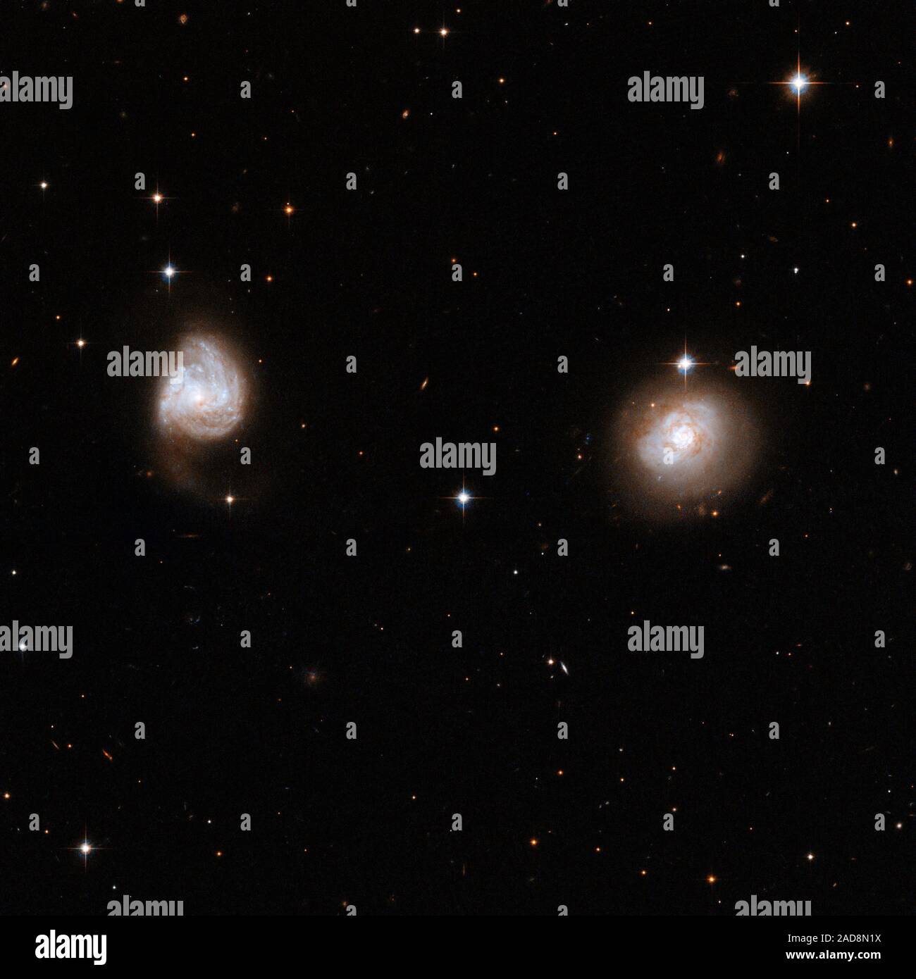 AM 0702 è costituito da un paio di staccate di galassie, distanti e  probabilmente solo cominciando ad interagire. I primi segni di interazione  sono visibili nella galassia a sinistra dove la struttura