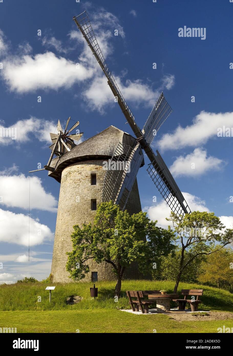 Mulino a vento Seelenfelder Koenigsmuehle, Petershagen, Renania settentrionale-Vestfalia, Germania, Europa Foto Stock