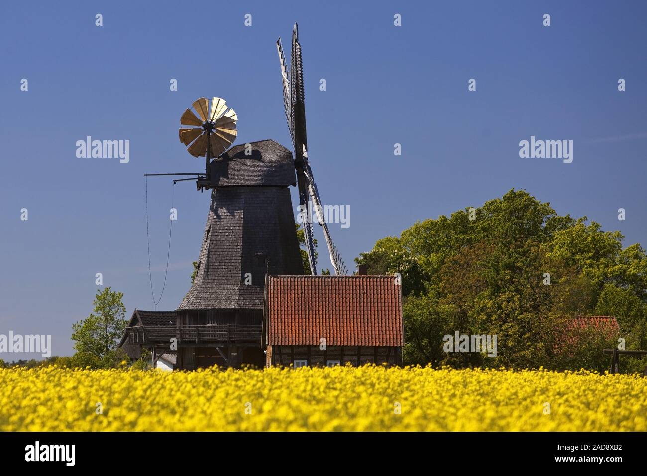 Mulino a vento Messlingen dal 1843, Petershagen, East Westfalia, Renania settentrionale-Vestfalia, Germania Europa Foto Stock