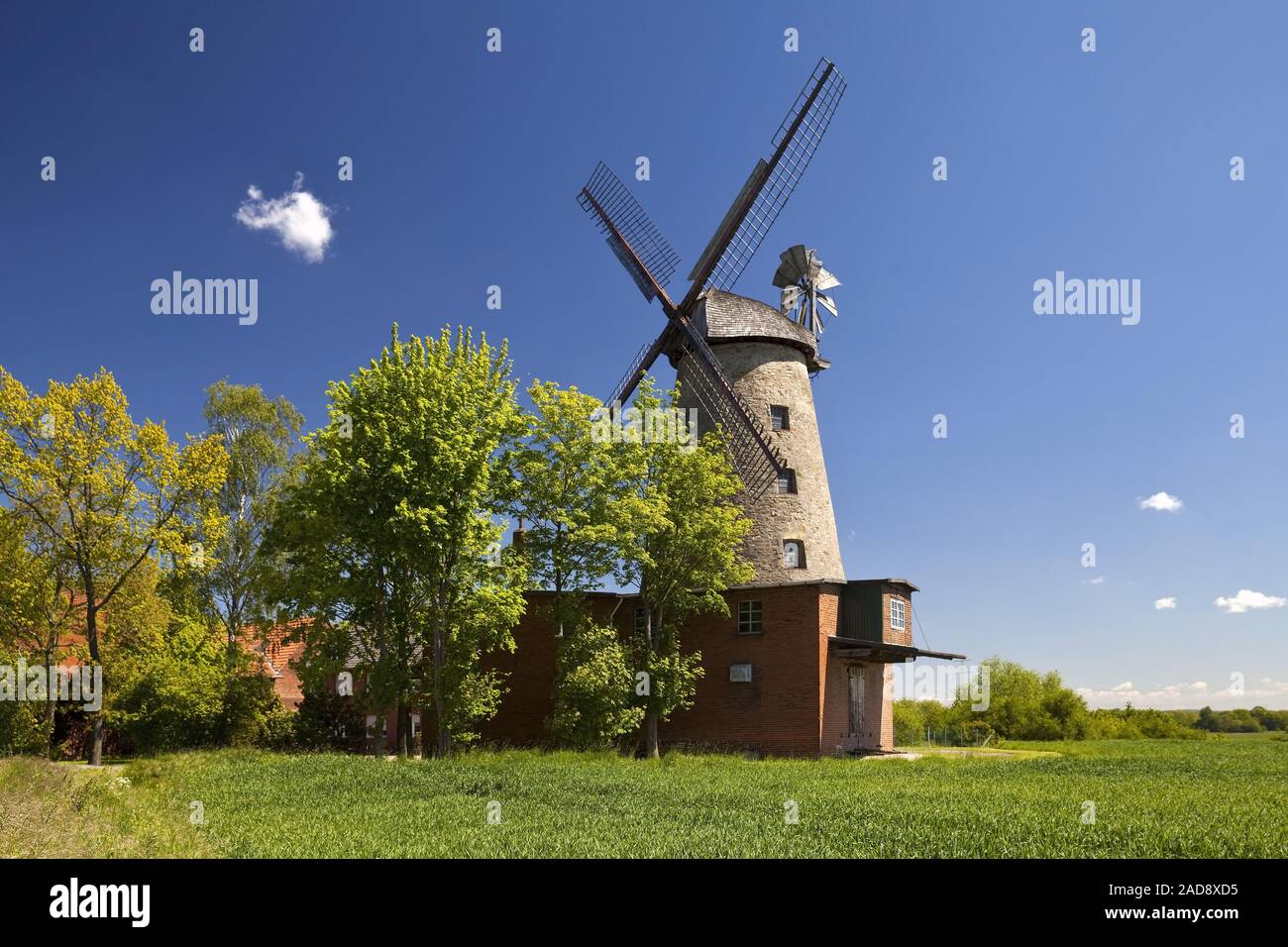 Mulino a vento Pottmuehle, Petershagen, East Westfalia, Renania settentrionale-Vestfalia, Germania, Europa Foto Stock