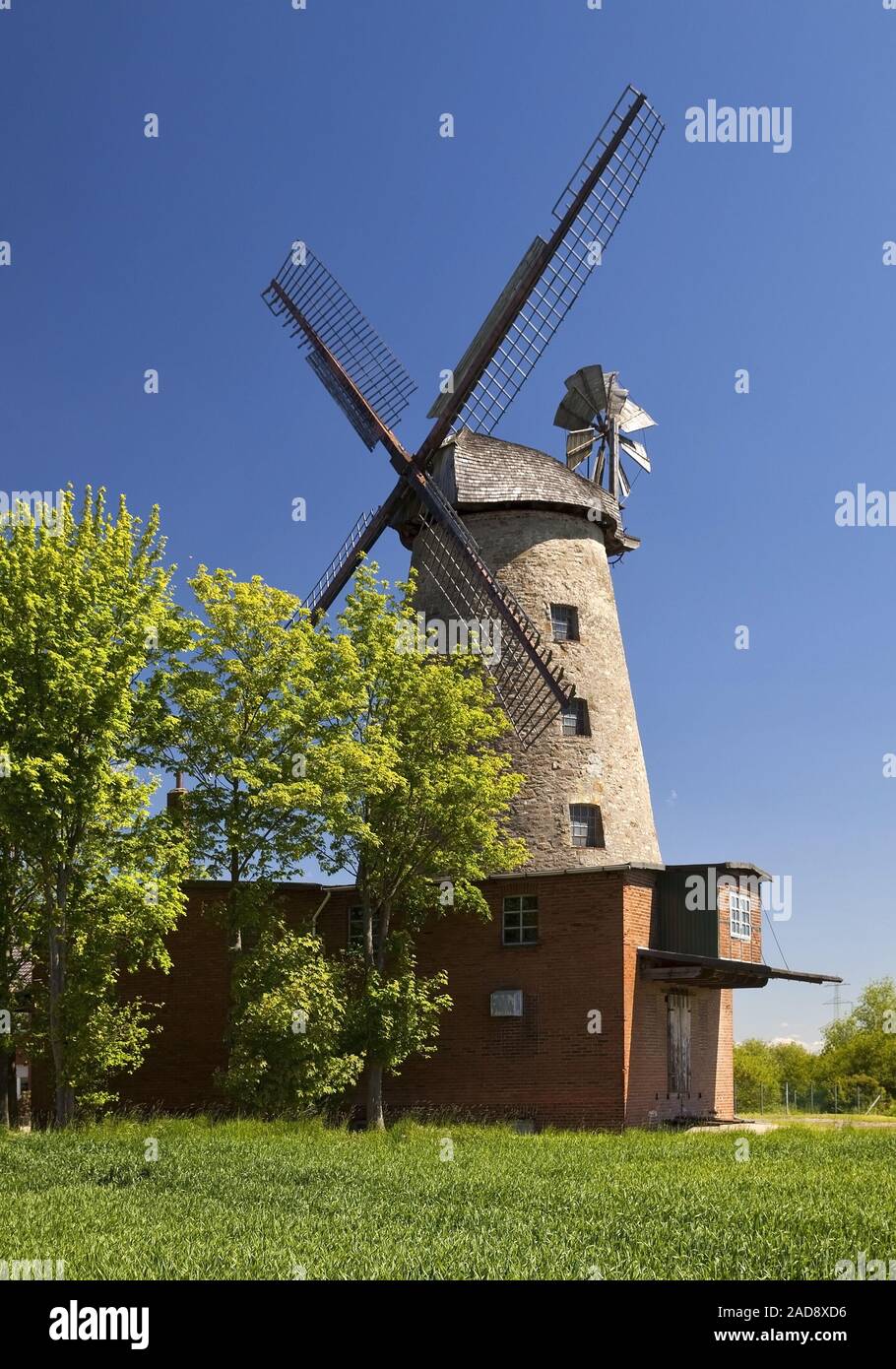 Mulino a vento Pottmuehle, Petershagen, East Westfalia, Renania settentrionale-Vestfalia, Germania, Europa Foto Stock
