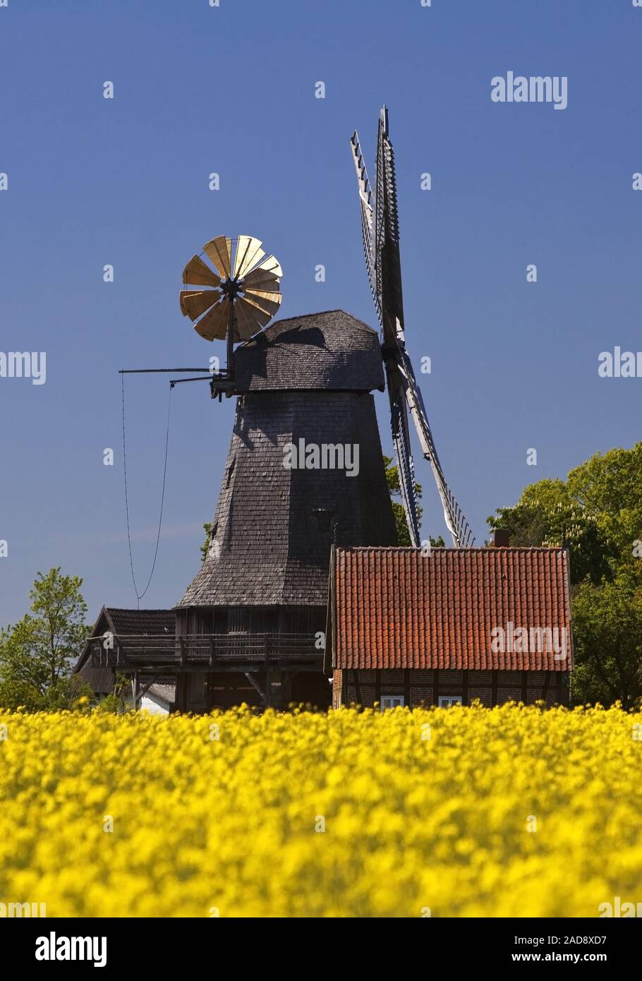 Mulino a vento Messlingen dal 1843, Petershagen, East Westfalia, Renania settentrionale-Vestfalia, Germania Europa Foto Stock