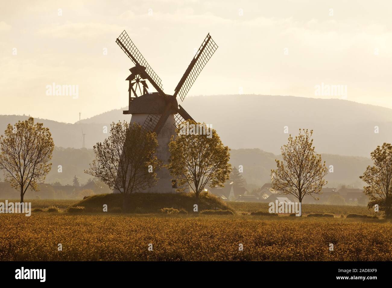 Mulino a vento Veltheim, Porta Westfalica, East Westfalia, Renania settentrionale-Vestfalia, Germania, Europa Foto Stock