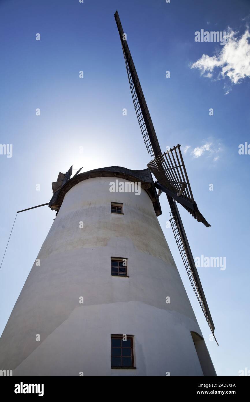 Mulino a vento Maschmeyers Muehle, Porta Westfalica, Renania settentrionale-Vestfalia, Germania, Europa Foto Stock
