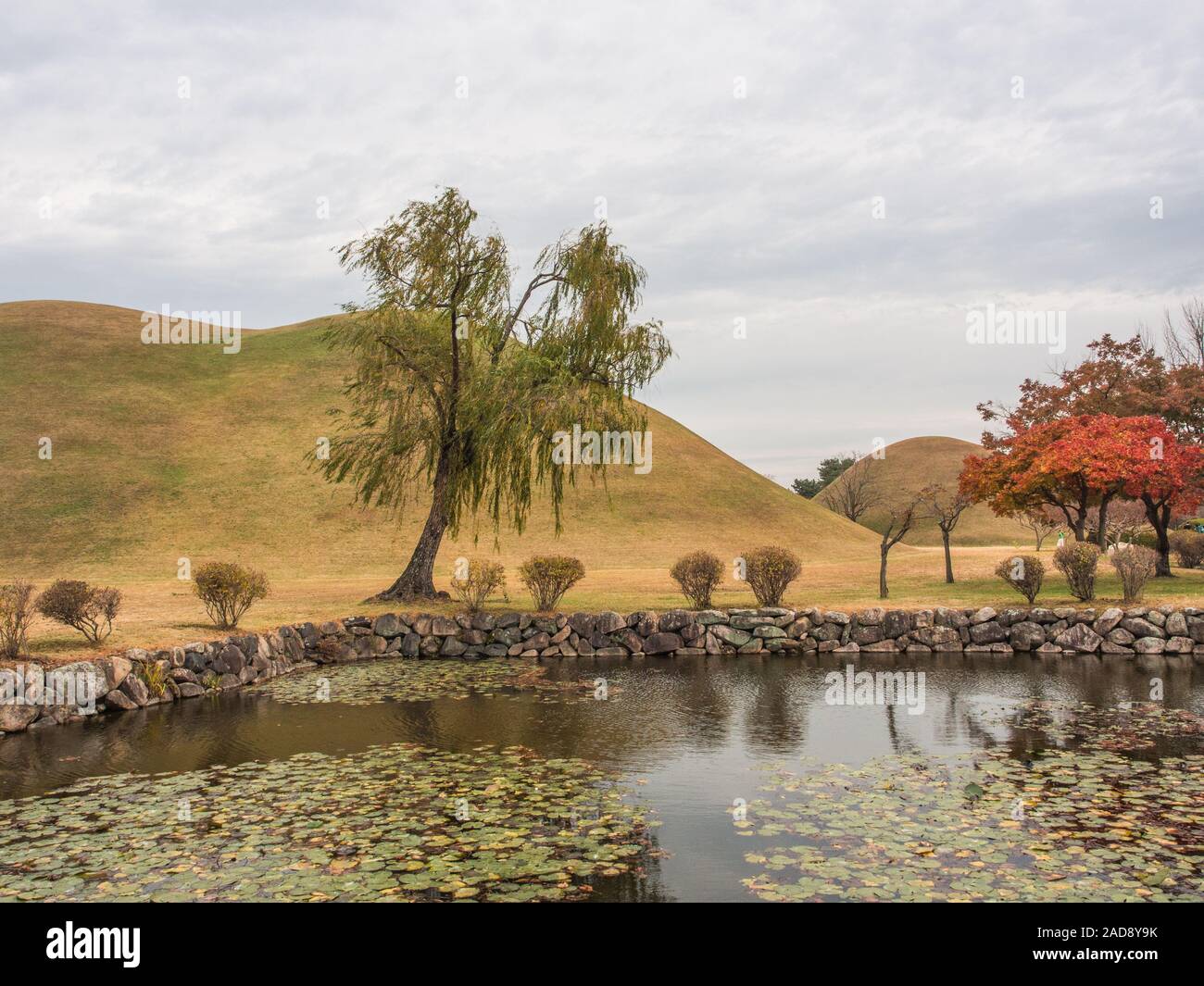 Silla unito tumuli, Daereungwon, Gyejungju, Corea del Sud Foto Stock