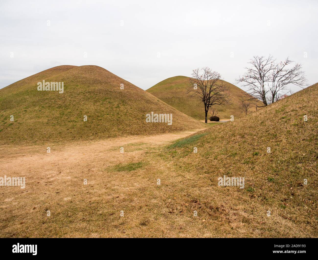 Silla unito tumuli, Daereungwon, Gyejungju, Corea del Sud Foto Stock