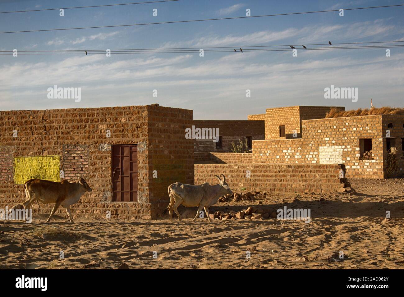 Villaggio indiano nel deserto sabbioso Foto Stock