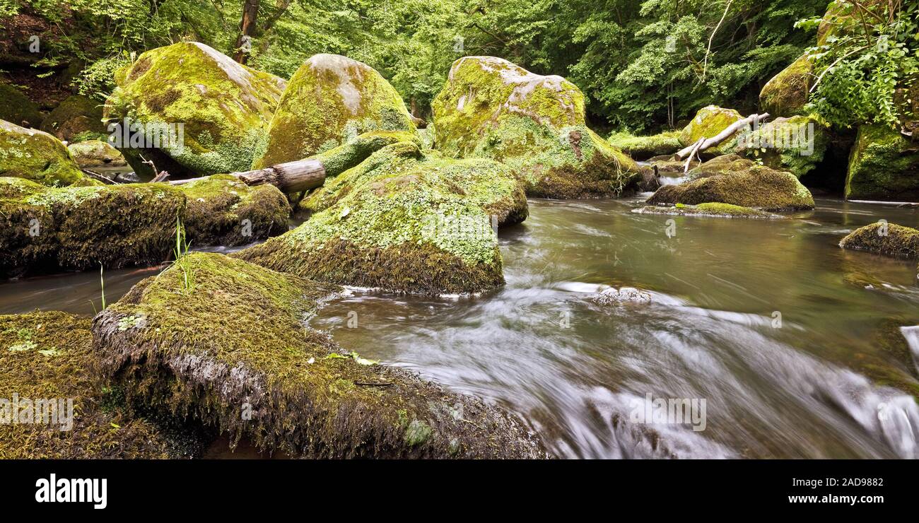 Rapids chiamato Irreler Wasserfaelle del Sud parco naturale Eifel, Irrel, Eifel, Germania, Europa Foto Stock
