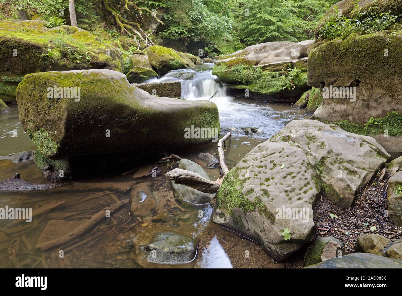 Rapids chiamato Irreler Wasserfaelle del Sud parco naturale Eifel, Irrel, Eifel, Germania, Europa Foto Stock
