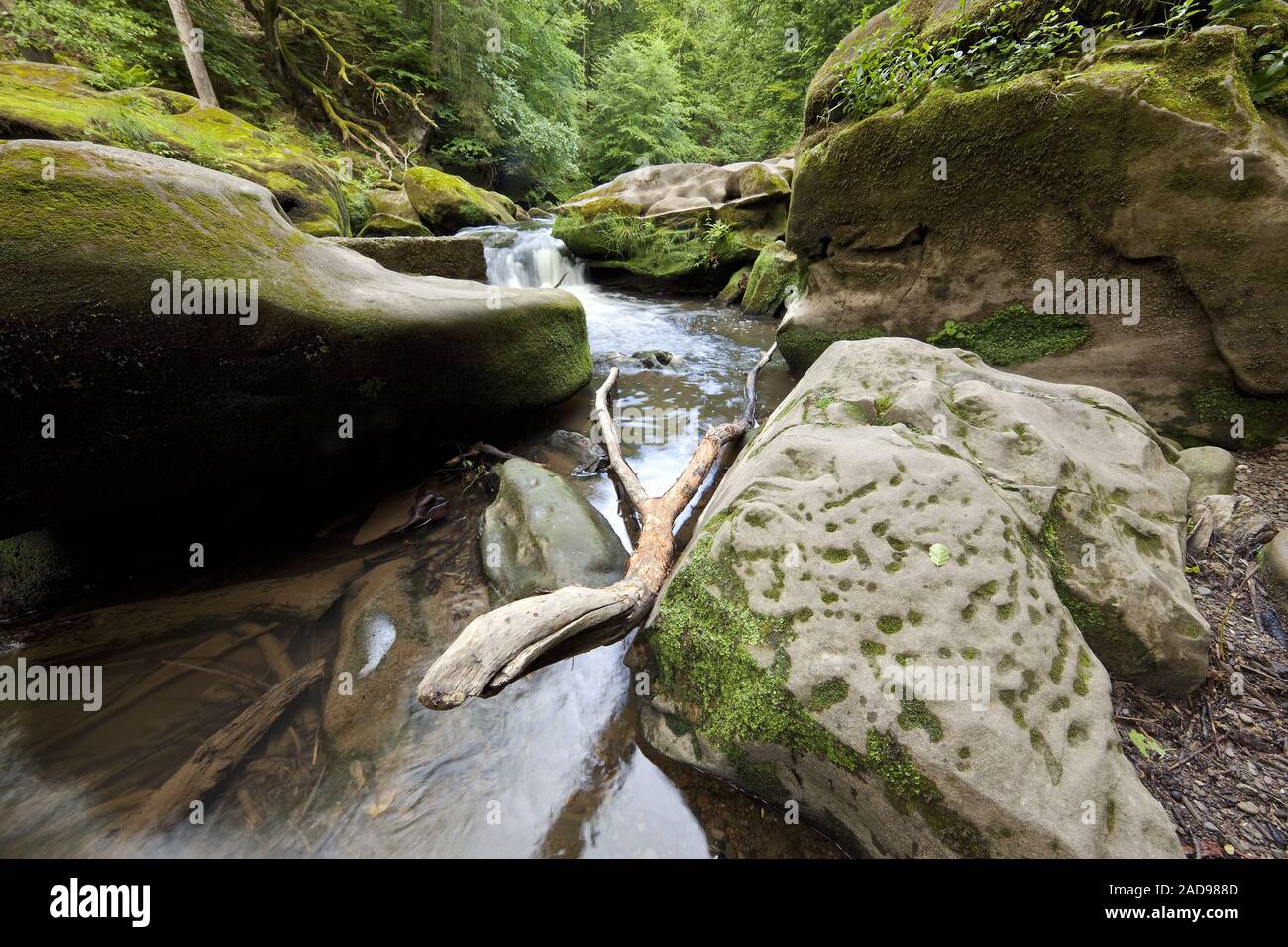 Rapids chiamato Irreler Wasserfaelle del Sud parco naturale Eifel, Irrel, Eifel, Germania, Europa Foto Stock
