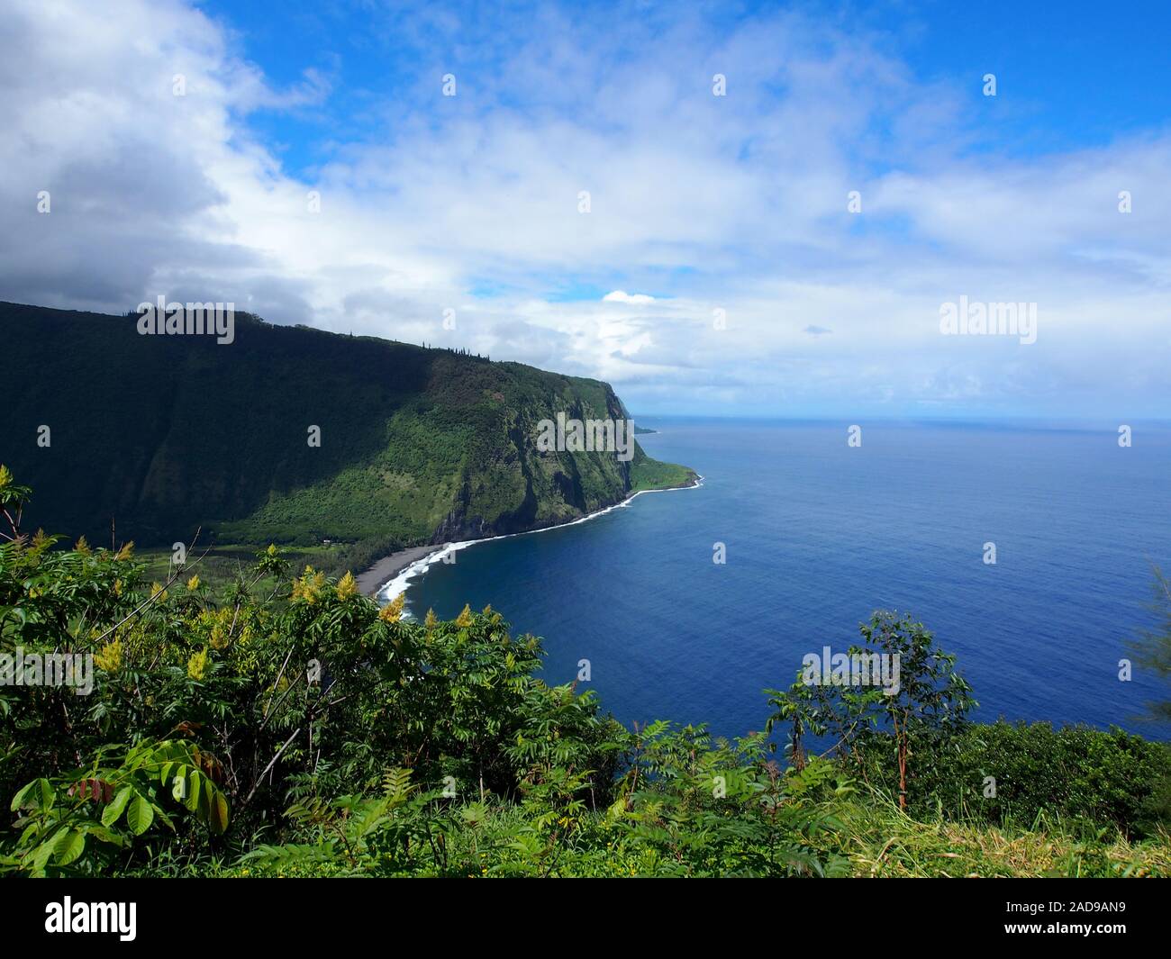 Valle Waipiʻo Lookout vista durante il giorno. Situato sulla parte settentrionale della Costa Hamakua, sacro Waipio Valley è stata la fanciullezza home del Re Kamehameha I Foto Stock