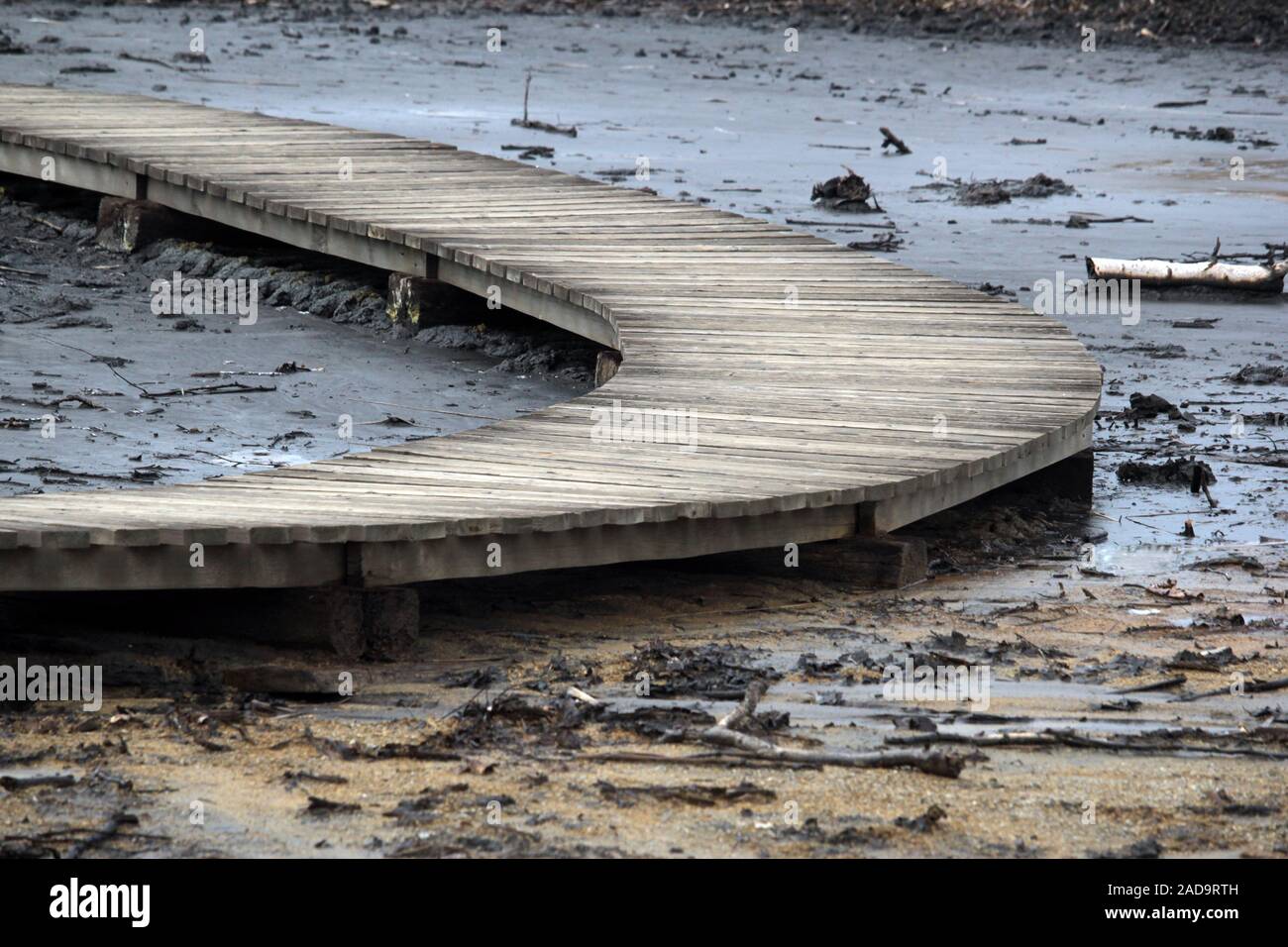 Soos Riserva naturale nella Repubblica Ceca Foto Stock