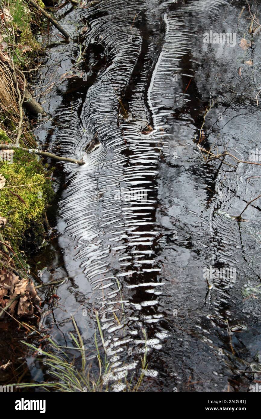 Soos Riserva naturale nella Repubblica Ceca Foto Stock