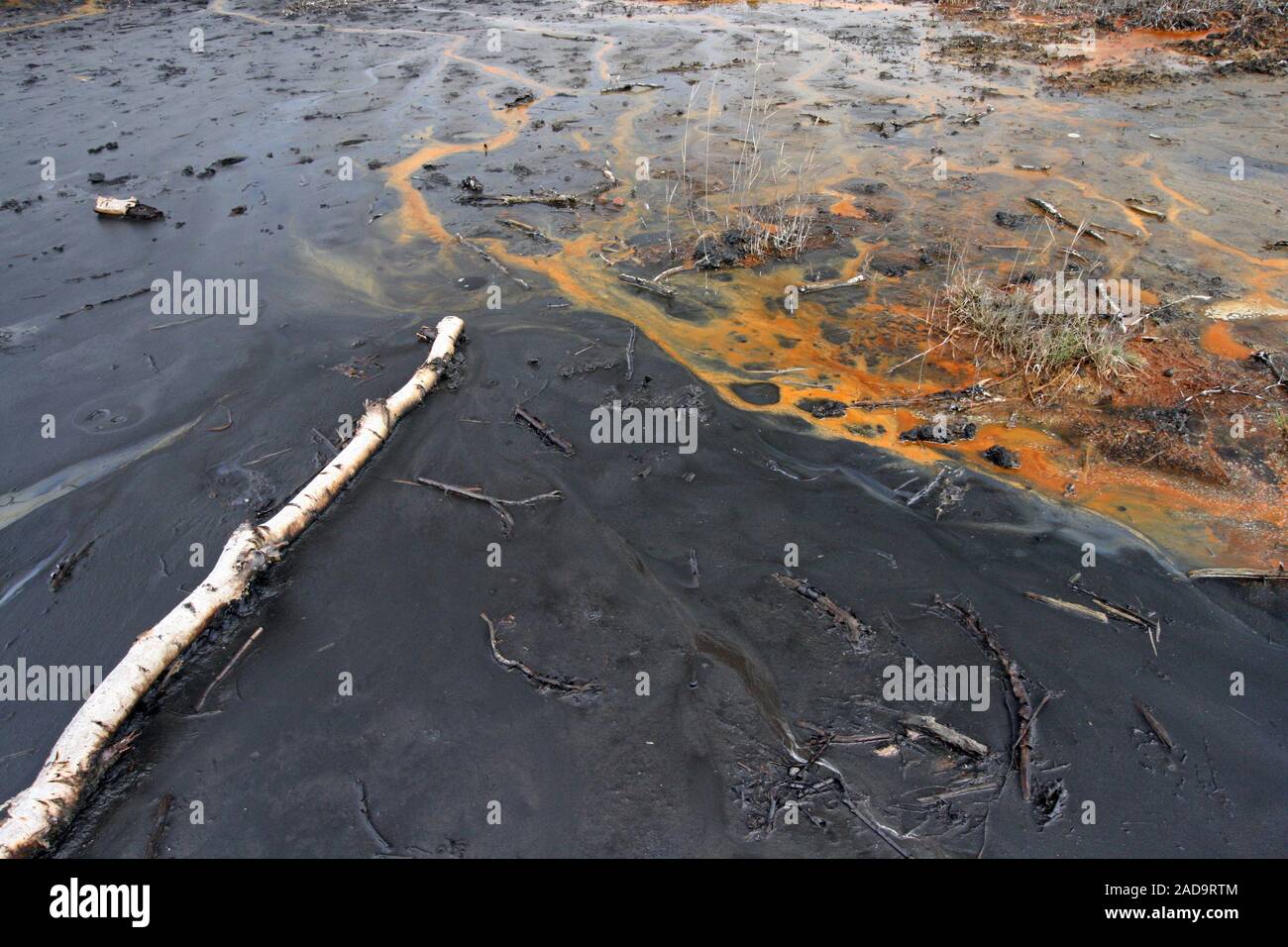 Soos Riserva naturale nella Repubblica Ceca Foto Stock