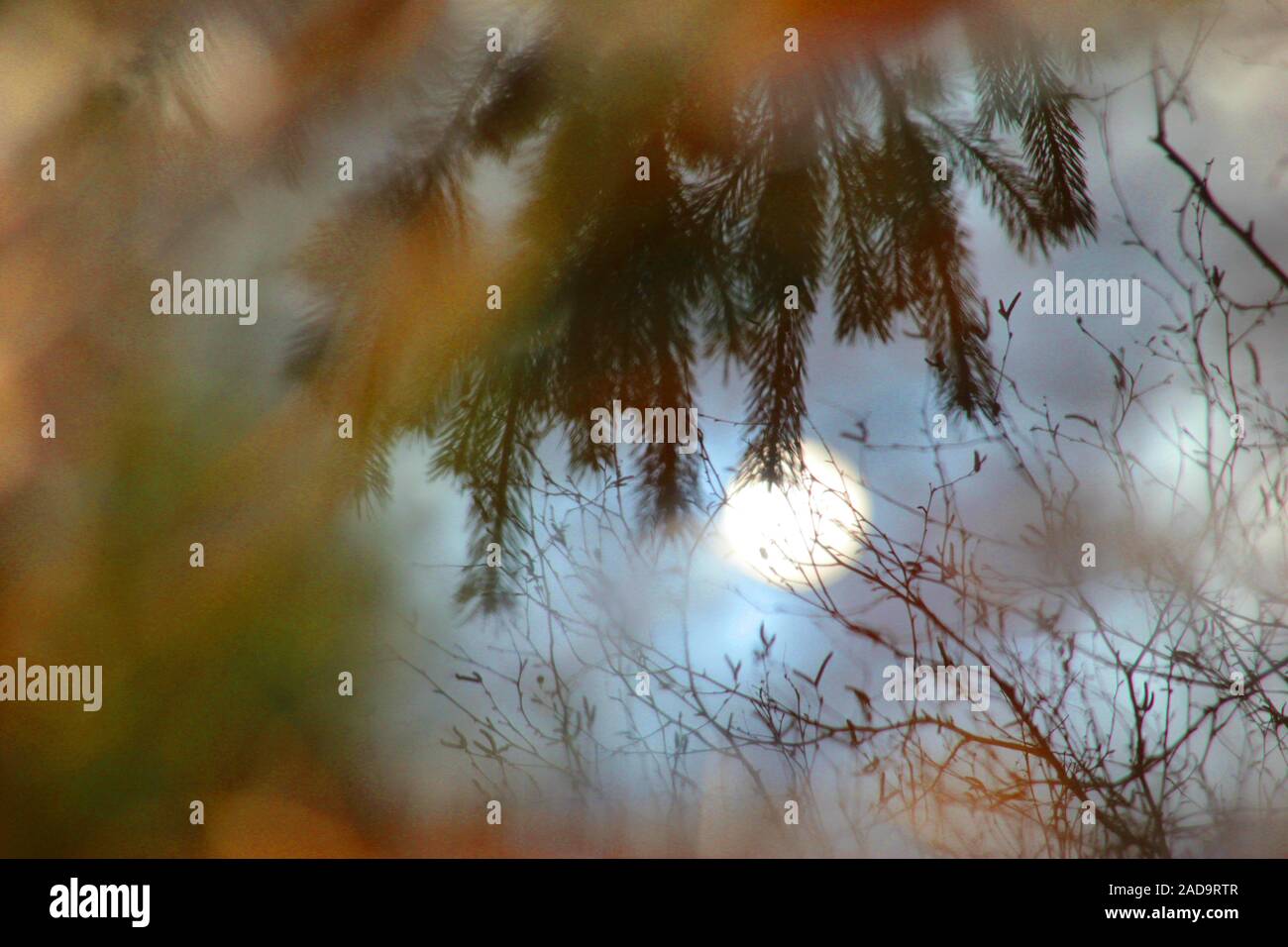 Soos Riserva naturale nella Repubblica Ceca Foto Stock