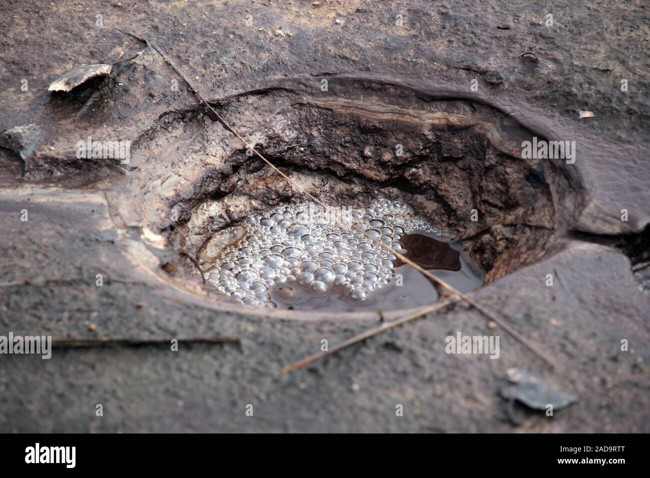 Soos Riserva naturale nella Repubblica Ceca Foto Stock