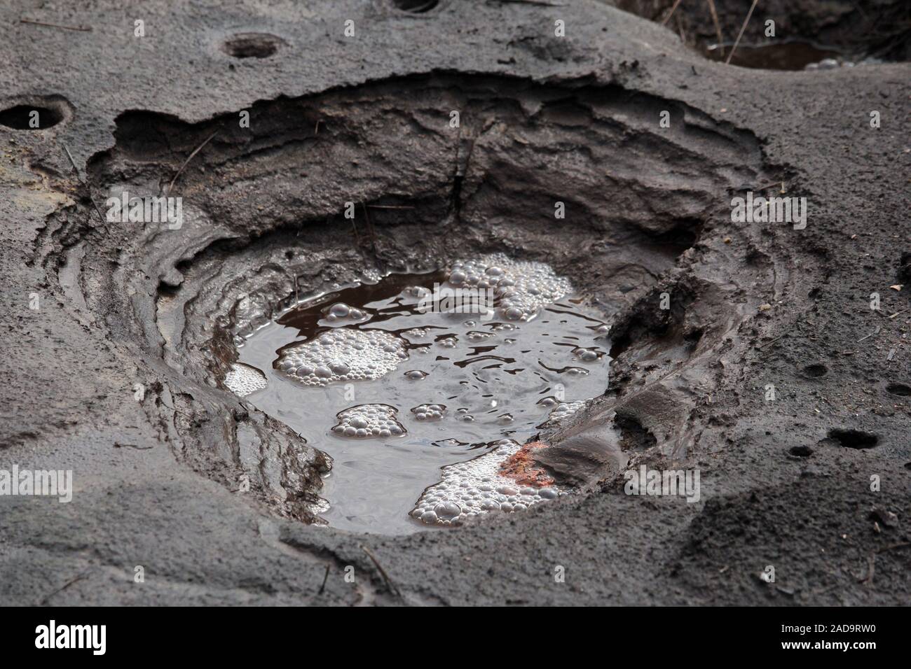 Soos Riserva naturale nella Repubblica Ceca Foto Stock