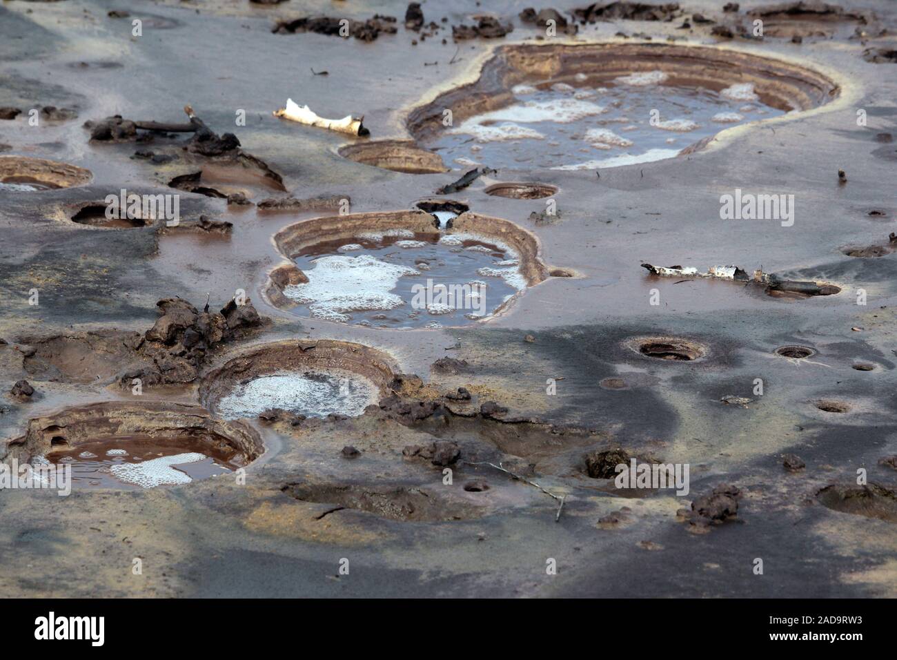 Soos Riserva naturale nella Repubblica Ceca Foto Stock
