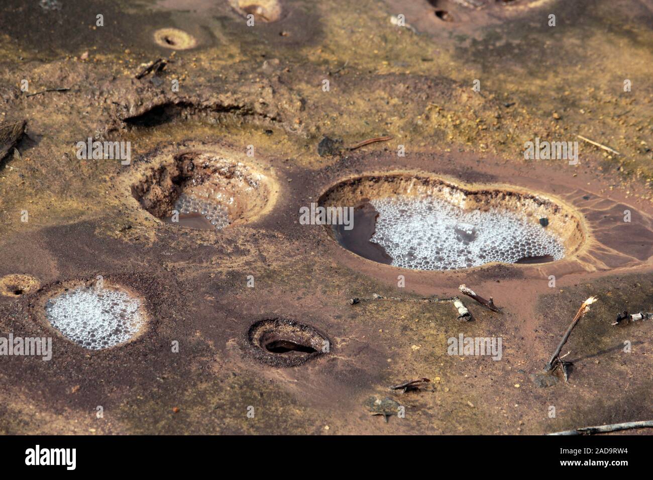 Soos Riserva naturale nella Repubblica Ceca Foto Stock