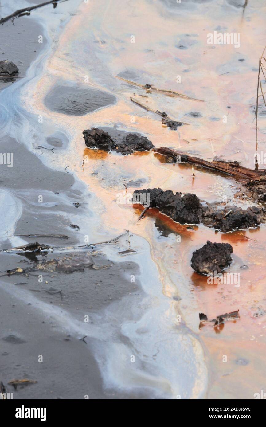 Soos Riserva naturale nella Repubblica Ceca Foto Stock