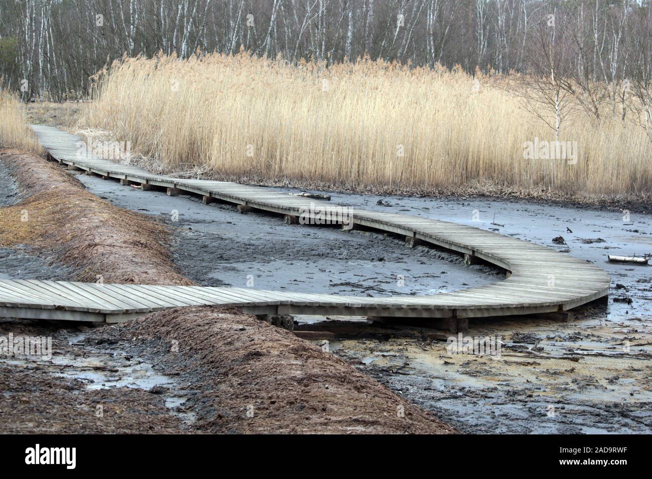 Soos Riserva naturale nella Repubblica Ceca Foto Stock