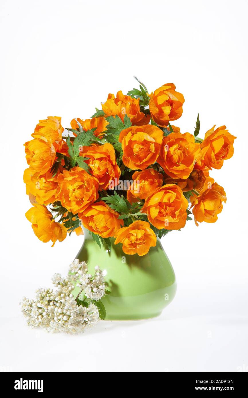 Natura morta con fiori Foto Stock