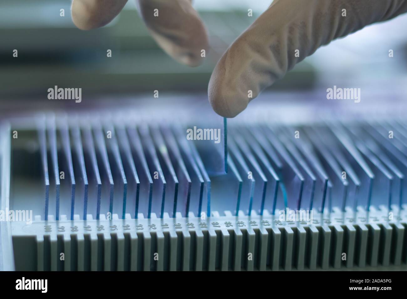 Primo piano delle mani di controllo test del sangue scorrere il vetro dall'archivio o il vecchio record in laboratorio. Foto Stock