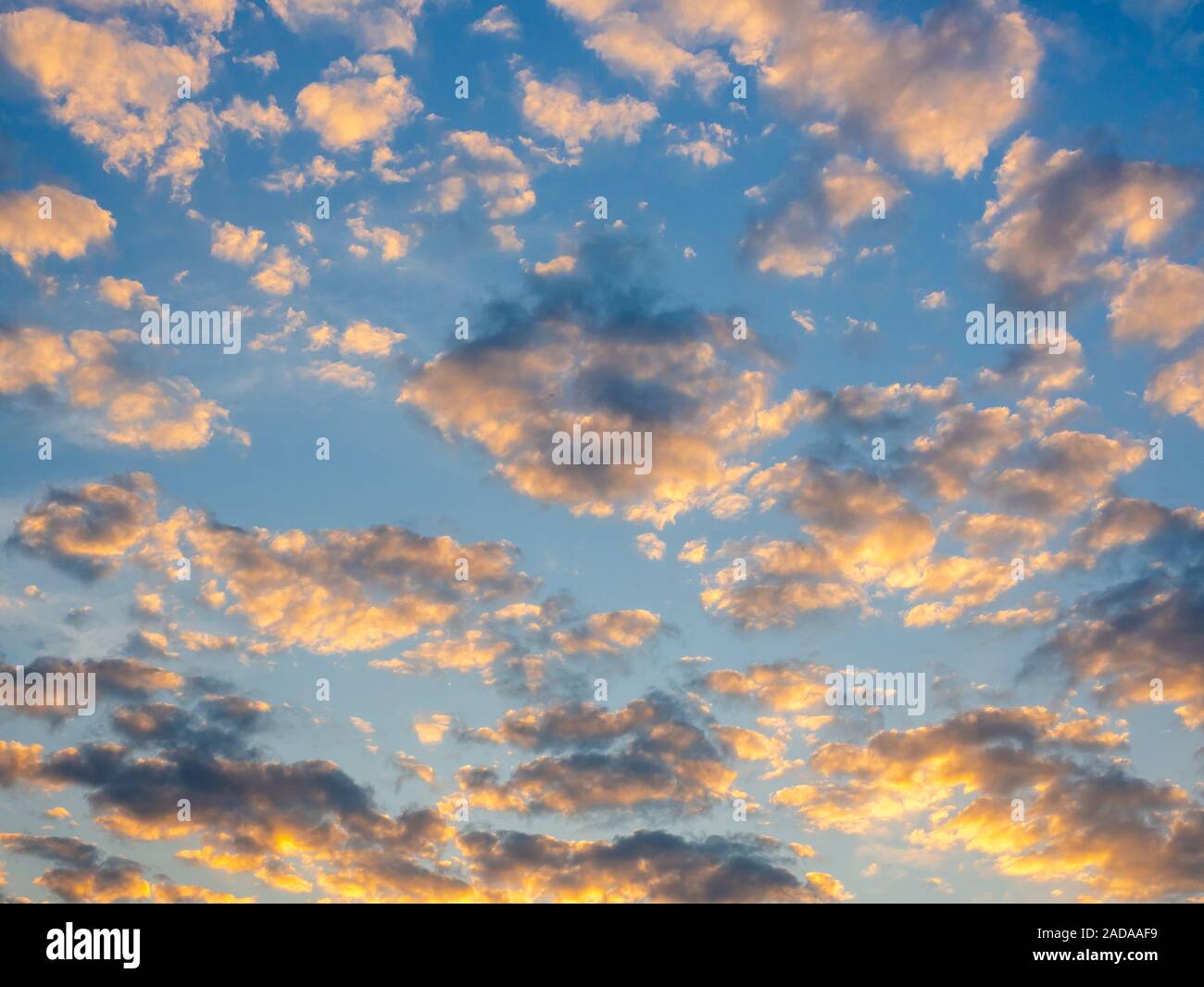 Beautiful golden nuvole sul Cielo di tramonto sullo sfondo. Cielo azzurro sfondo con luce dorata dalla luce del sole che splende su le nuvole. Foto Stock