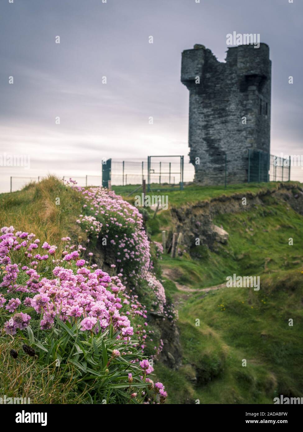 Cliffwalk presso le scogliere di Moher Foto Stock