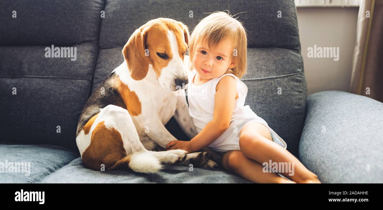Carino Baby girl coccolare con cane beagle. Closeup, shallow DOF. Foto Stock