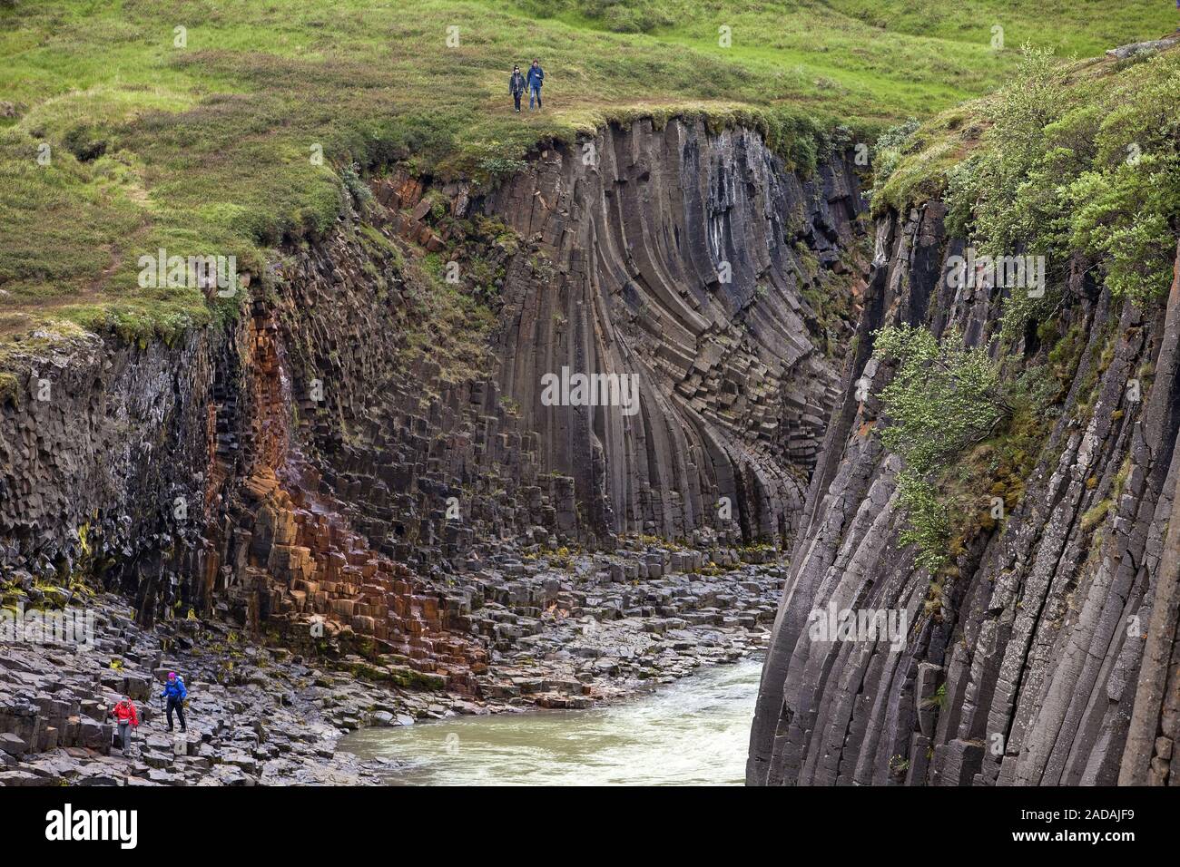 Valley Studlagil con colonne di basalto e glacier river Jorkulsa un Bru, Est Islanda Islanda Foto Stock