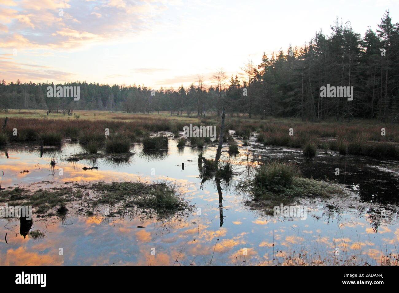 Moor Foto Stock