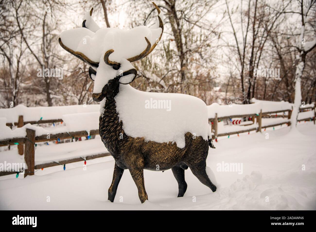 Una coperta di neve cervi statua in inverno. Uno dei due Cervi" della statua di artista Steven Bennett su Clear Creek Trail - Golden, Colorado, STATI UNITI D'AMERICA Foto Stock