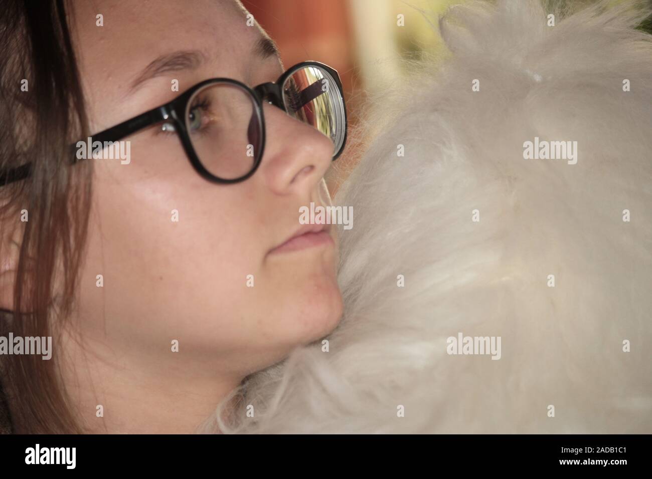 Ragazza con un cane di piccola taglia Foto Stock