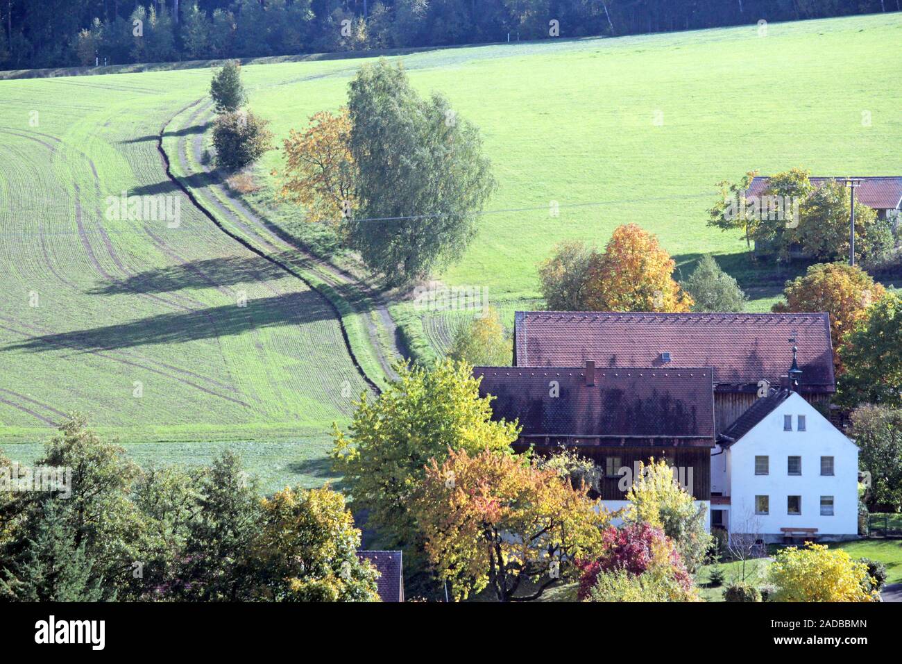 Paesaggio autunnale Foto Stock